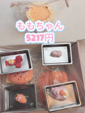 ももちゃんー注文-4.04